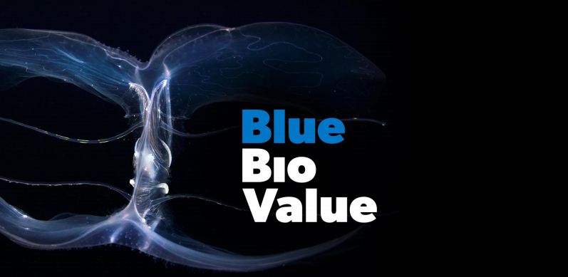 blue bioeconomy